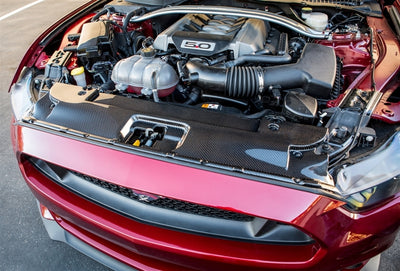 2015-2017 Mustang LG231 Carbon Fiber Radiator Cover