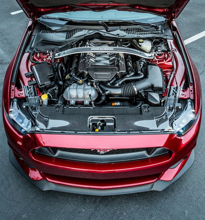 2015-2021 Mustang Carbon Fiber LG241 Fuse Box Cover