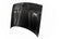 2009-2015 Challenger Carbon Fiber Hood A19 Hood