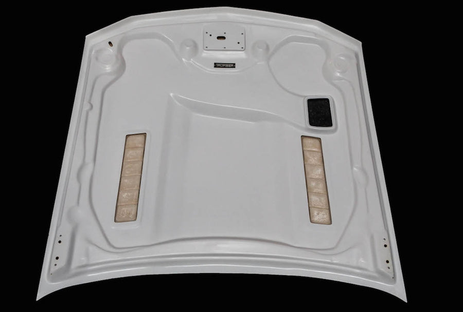 2005-2009 Mustang Fiberglass A61 Ram Air Hood